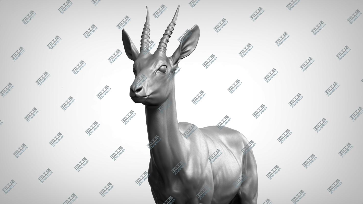 images/goods_img/202105071/3D Gazelle antelope  Gazella model/4.jpg